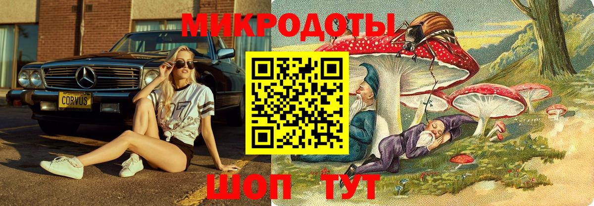 Псилоцибиновые грибы Magic Shrooms  Вход с VPN  Псилоцибиновые грибы мухоморы  Пенза 